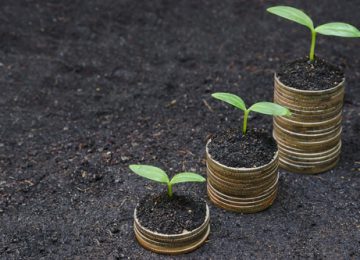 Responsible Growth